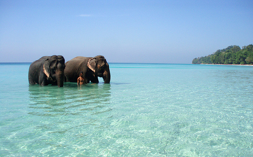 Mesmerizing Andaman